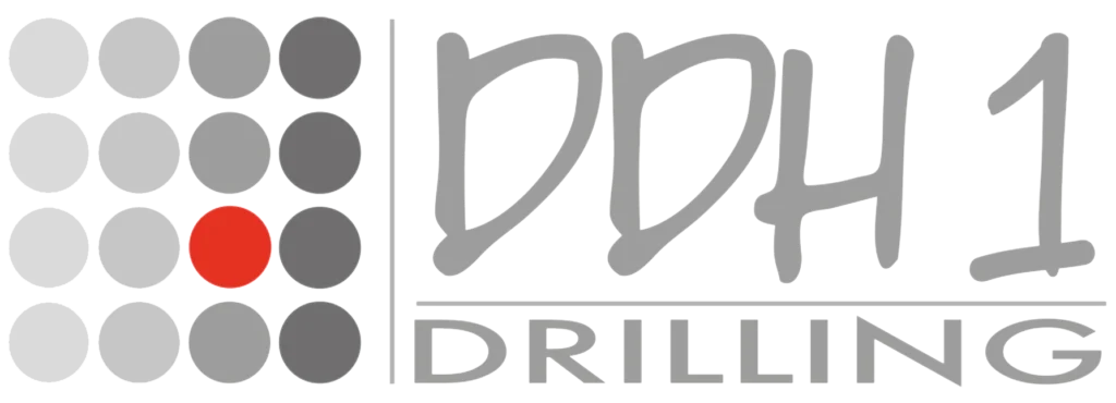 ddh1logo