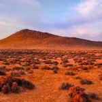 Juno Project – Gold Exploration Site, Pilbara, Australia Mineral Exploration land in Western Australia's Pilbara region, site of the Juno Project targeting potential gold deposits.