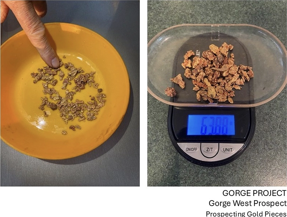 Gorge Gold Nuggets