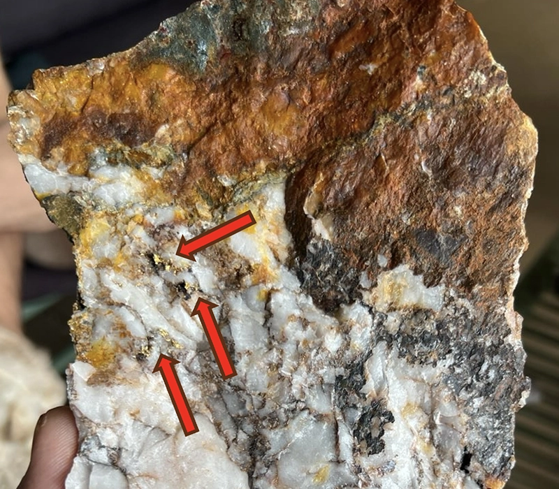 Figure 5
