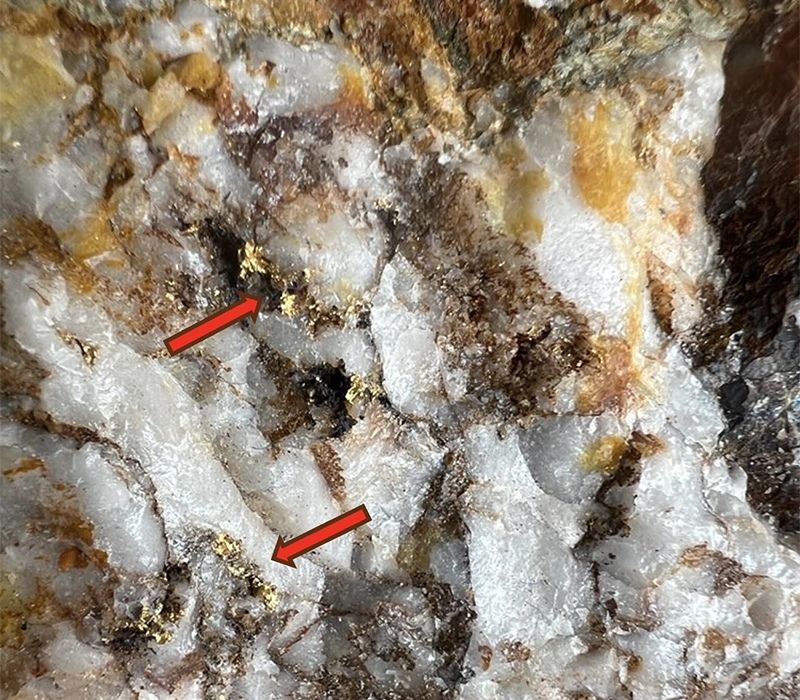 Figure6